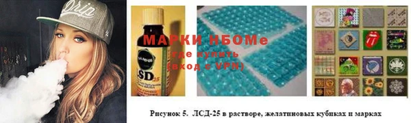 шишки Вязники