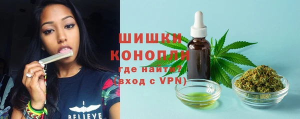 шишки Вязники