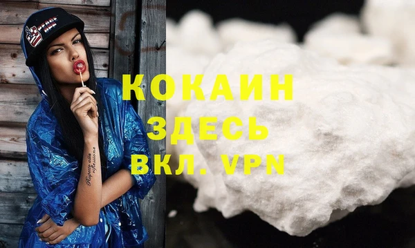 шишки Вязники