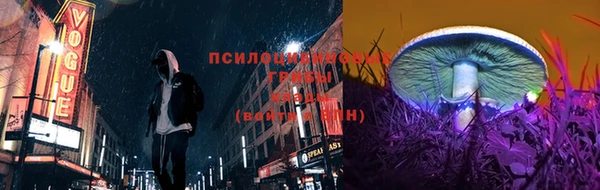 шишки Вязники