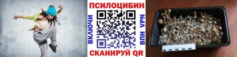 Псилоцибиновые грибы Cubensis  Жигулёвск 